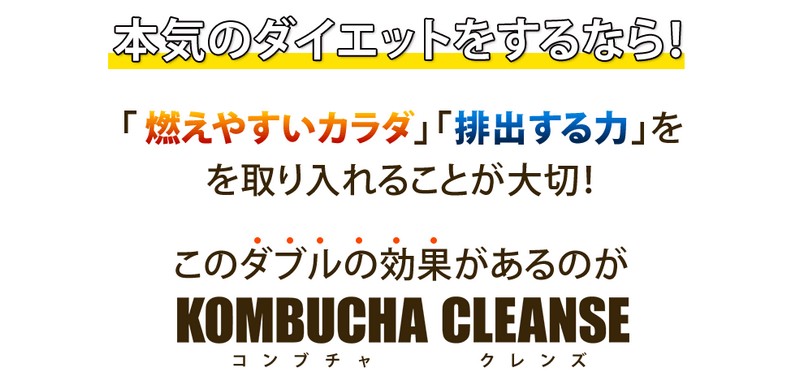 �R���u�`�������Y�@�R�ċۃh�����N���T�C�g